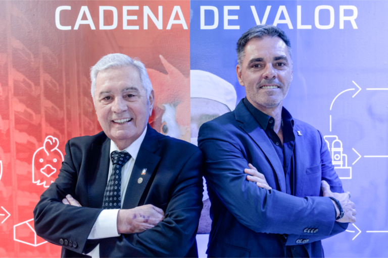 Grupo Motta